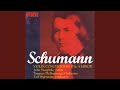 Miniature de la vidéo de la chanson Violin Concerto In D Minor: Ii. Langsam