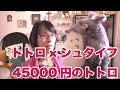 45000円のトトロを衝動買いしたｗｗｗｗ [トトロ×シュタイフ テディベア]