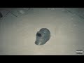 يوسف الجوكر سهلة حالات واتس يوسف الجوكر سهلة حالات واتس