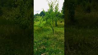 IMG E2417
