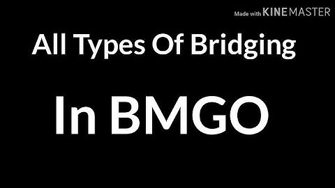 Types Of Bridging In BMGO 😉😯 (Blockman Go:BlockyMods)