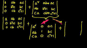 Matrices :  Determinants - Example 9