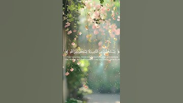 تلاوه خاشعه للشيخ أحمد حمادي ♥️🎧 #quran #اكسبلور #تلاوة_خاشعة #راحة_نفسية #المصحف #دويتو #لايك #duet