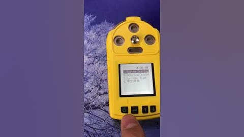 Portable multi gas detector