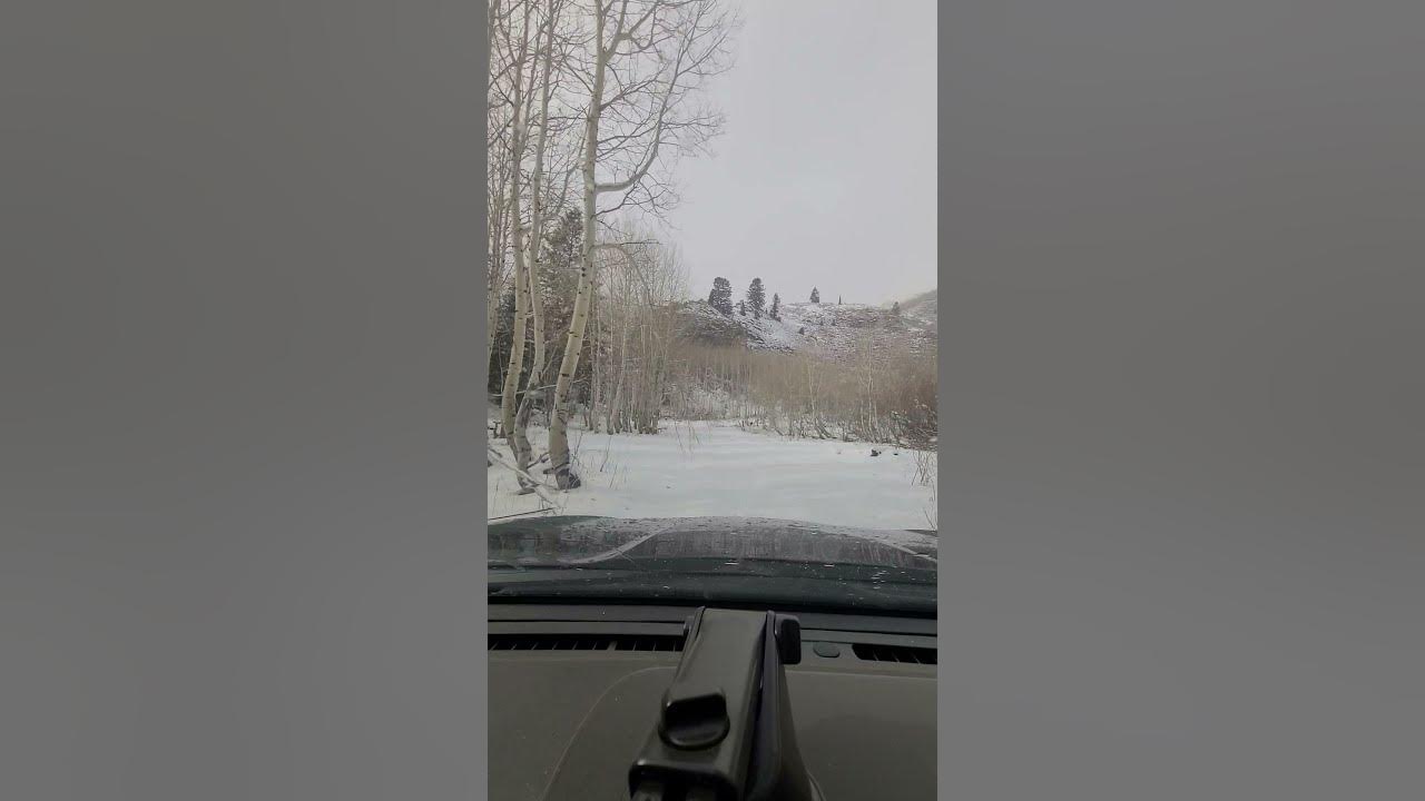 6" of fresh snow in Midway, UT. 2018 Subaru Forester. Michelin