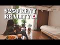 Alone in Japan 🇯🇵 | $250 Apartment Room Tour & Homemade Omurice