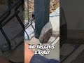 When Using a HAMMER to hit a SCREW GOES RIGHT!! #shorts #viral #funny #trending