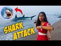 Giant shark attack near beach  omg dangerous