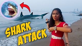 GIANT Shark Attack Near Beach | OMG **Dangerous** by Pari's lifestyle Vlogs 398,897 views 2 months ago 9 minutes, 1 second