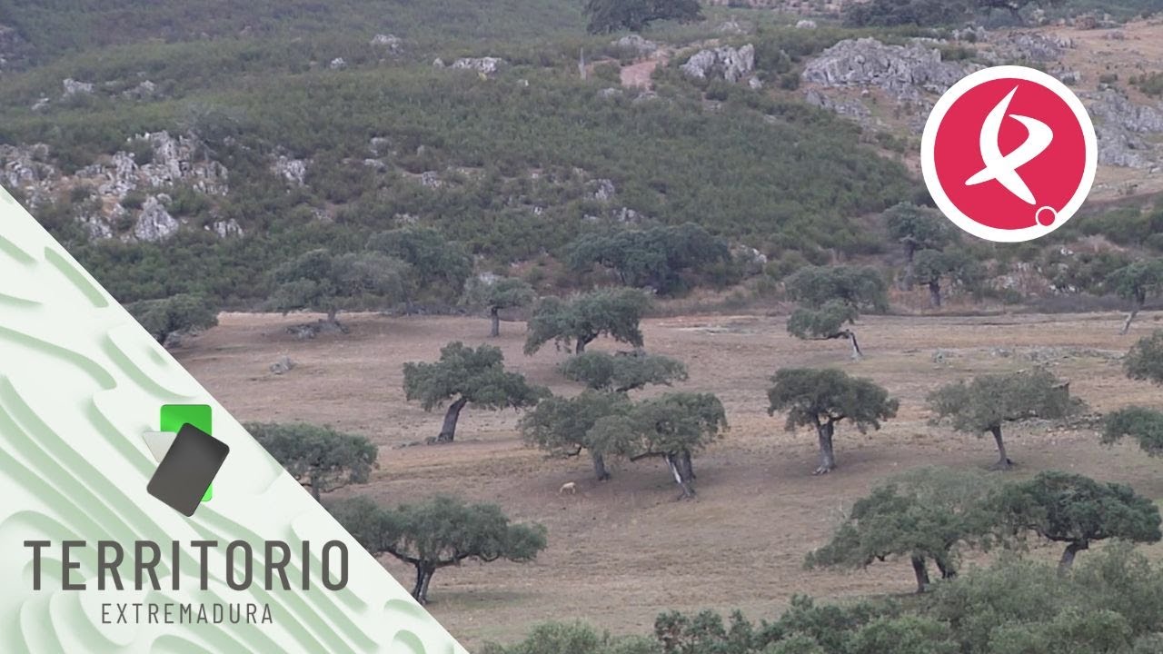 La finca comunal más grande de España está en Oliva de la Frontera | Territorio Extremadura
