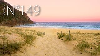 relaxdaily - Tomaree [N°149]