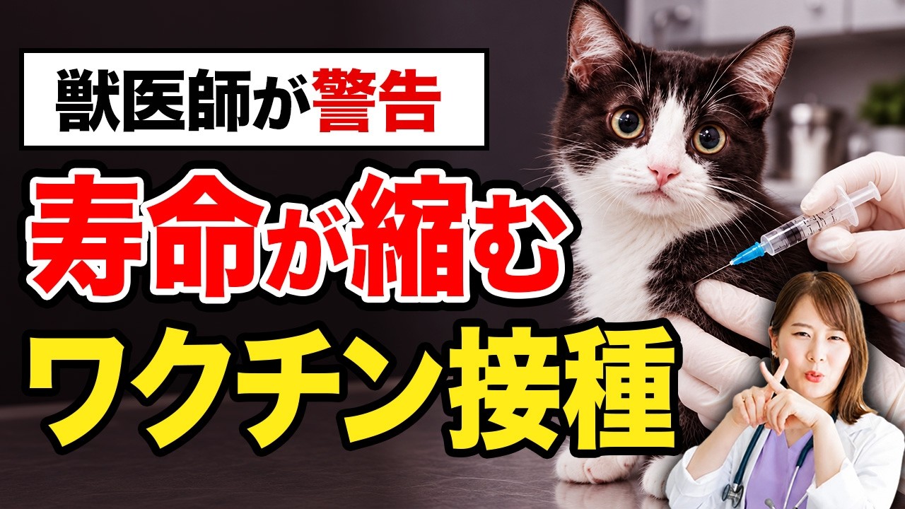 WARNING] Is Your Cat's Annual Vaccine Actually Necessary? Exposing