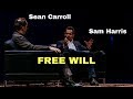 Sam Harris and Sean Carroll talking about free will