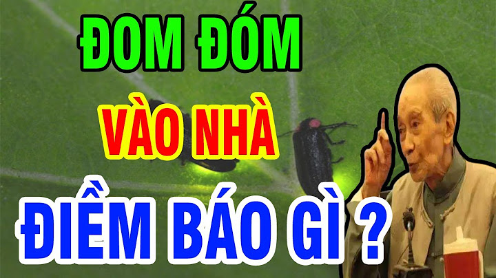 Đom đóm vào nhà là điềm gì năm 2024