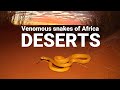 The venomous snakes of Africa - DESERTS, Cape cobra, Red spitting cobra, Puff adder, Carpet viper