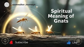 Spiritual Meaning of Gnats | Annoyance, Divine Nudges & Energetic Cleansing
