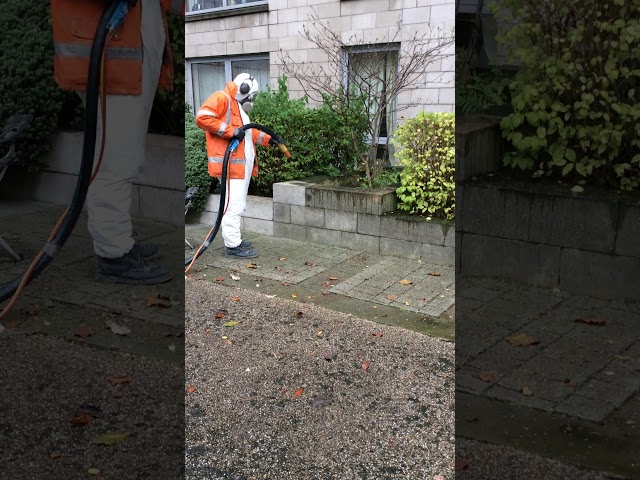 Light blast cleaning in Edinburgh on wall