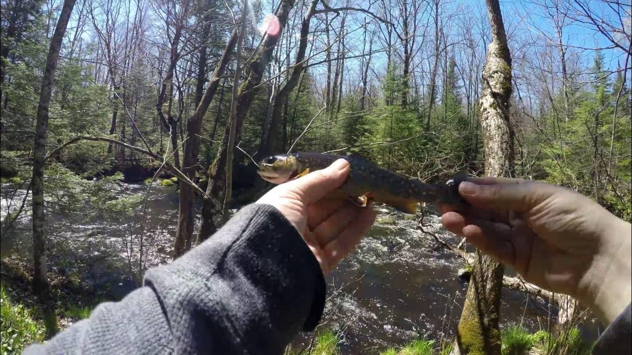 Opening Day Trout Fishing Wabeno, Wisconsin (5/7/16) J. Meyer Studios