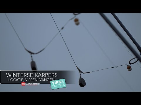 Video: Hoe Karper Te Vangen In De Winter?