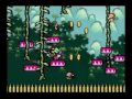 Yoshi S Island 3 5 100 Speedrun Yoshi S Island 3 5 100 Speedrun