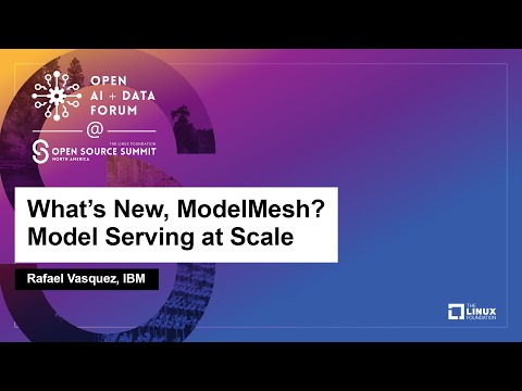 What's New, ModelMesh?