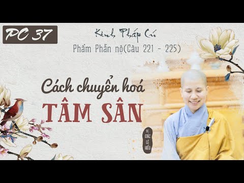 Cách chuyển hóa tâm sân. Kinh Pháp Cú. Phẩm Phẫn nộ. Kệ 221-225. SC. Giác Lệ Hiếu