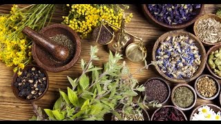 Top 7 Healthiest Herbs and their Benefits