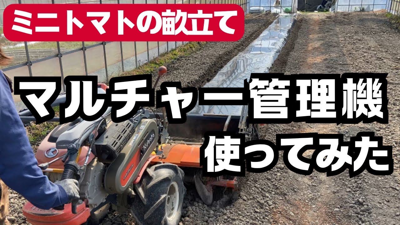 How to use a mulcher] Making ridges for cherry tomatoes - YouTube
