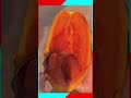 Ripe papaya peeled and scooped smoothly with a spoon. 🍈✨ #shorts #fruit #prep