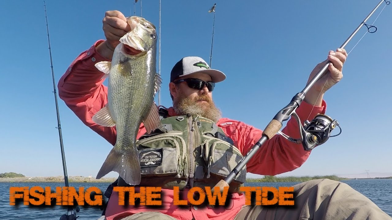 Fishing the Low Tide... and Catching YouTube