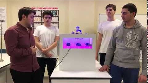 Akıllı Endemik Sera