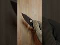 Breaking in New Spyderco Bodacious
