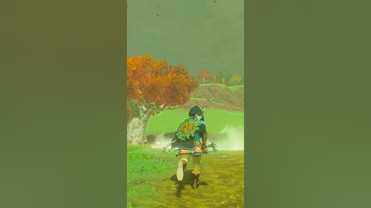 Here's a trick to adjusting the Hylian Hood up or down yourself in TOTK