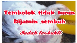 CARA MENGOBATI TEMBOLOK AYAM YANG TIDAK TURUN