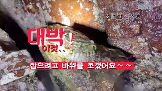 대왕 ㅈㅂ.. 바위를 깨서라도 꼭 잡아 먹자! 해루질, 먹방