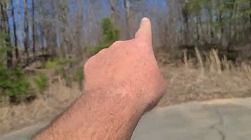 2023 looking for new swarm trap locations tip.