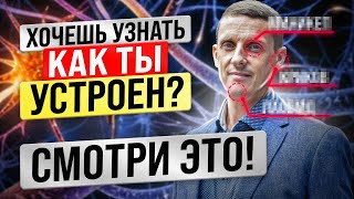 Интегральный взгляд на психику и личность. Хочешь узнать, как ты устроен, смотри это! НЛУ