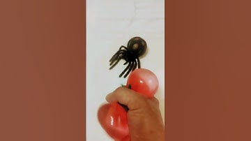 #squishy #funandfidgety #fidgettoys #satisfying #squish #fidget #oddlysatisfying #toys #fidgettoy