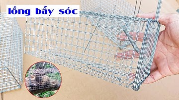 Bán lồng bẫy sóc mẫu chuẩn giao hàng toàn quốc