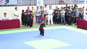 CĂN BẢN CÔNG 27 ĐỘNG TÁC | HÀ NỘI | GIẢI TRẺ VÕ CỔ TRUYỀN TOÀN QUỐC 2017