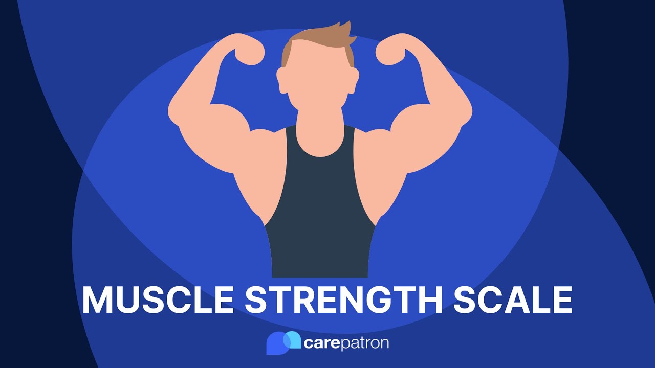 Muscle Strength Scale YouTube Muscle Strength Scale YouTube