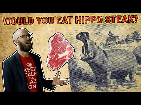 That Time the USA  Tried to Make Hippo Farming a Thing