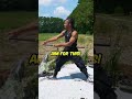 #katanafight #sword #katanaking #cobra #martialarts