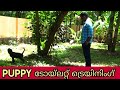 dog training : " toilet training"  Malayalam:kerala dog training : വളര്‍ത്തു നായയെ പരിശീലിപ്പിക്കാം