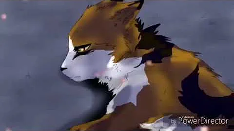 Ombre d'érable☆mapleshade [amv]