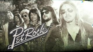 Pet Rock Sampler