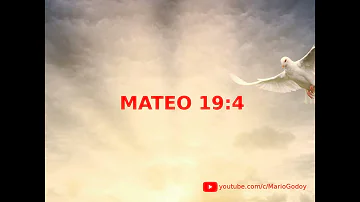 ¿Que nos enseña Mateo 19 4?