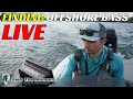 2 hours of live postspawn offshore bass fishing  side imaging down imaging livescope mapping