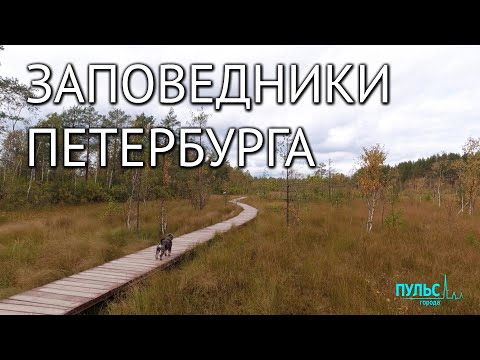 Заказники, парки и экологические маршруты Санкт-Петербурга