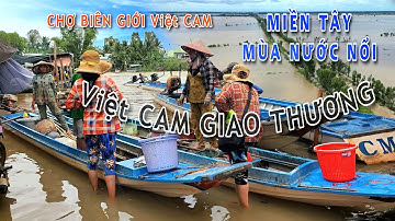 Chợ Cá Đồng trên sông biên giới Campuchia mùa nước nổi 2022 - Chợ Bắc Đai nơi giao thương Việt Cam